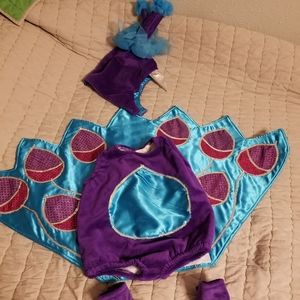 Baby Peacock costume